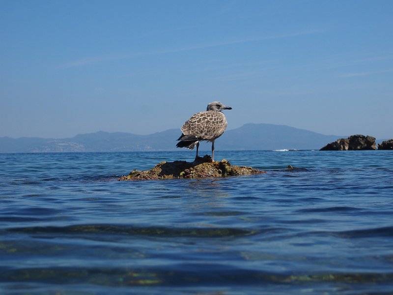 2013-06-12 11-51-25 Mary.JPG